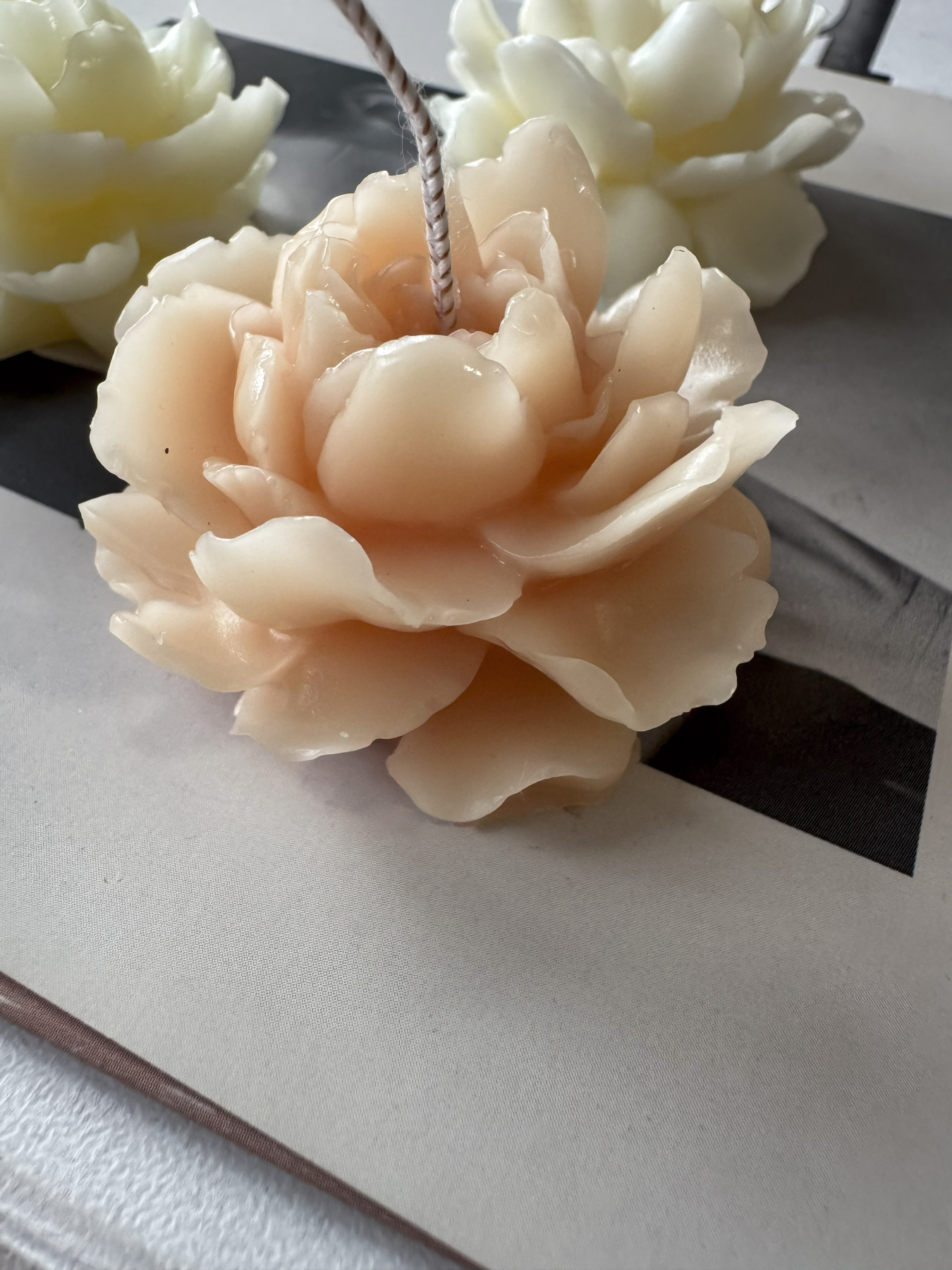 Ароматична свічка "Жасмін", аромат: Жасмін, з натурального бджолиного воску Candle Design модель 120.3003/3004 Ароматична свічка "Жасмін", аромат: Жасмін, з натурального бджолиного воску Candle Design модель 120.3003/3004 Фото