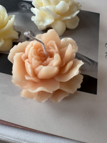 Ароматична свічка "Жасмін", аромат: Жасмін, з натурального бджолиного воску Candle Design модель 120.3003/3004 Ароматична свічка "Жасмін", аромат: Жасмін, з натурального бджолиного воску Candle Design модель 120.3003/3004 Фото