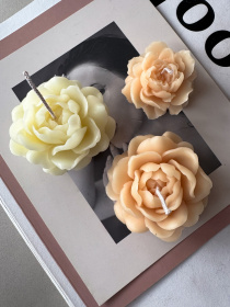 Ароматична свічка "Жасмін", аромат: Жасмін, з натурального бджолиного воску Candle Design модель 120.3003/3004 Ароматична свічка "Жасмін", аромат: Жасмін, з натурального бджолиного воску Candle Design модель 120.3003/3004 Фото