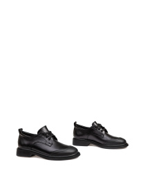 Броги Alex Bell модель 1173833 Фото