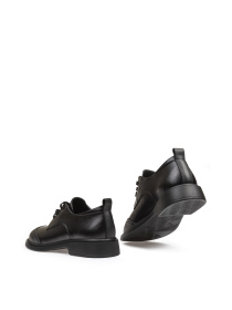 Броги Alex Bell модель 1173833 Фото