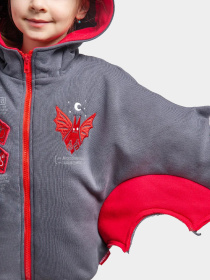 Худи Авіація Галичини модель 000006804-1 Фото