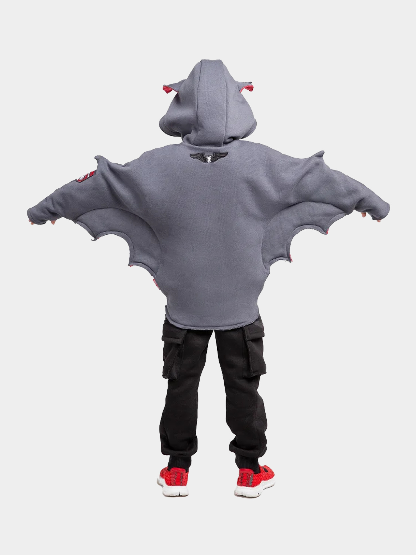 Худі Авіація Галичини модель 000006804-1 Фото