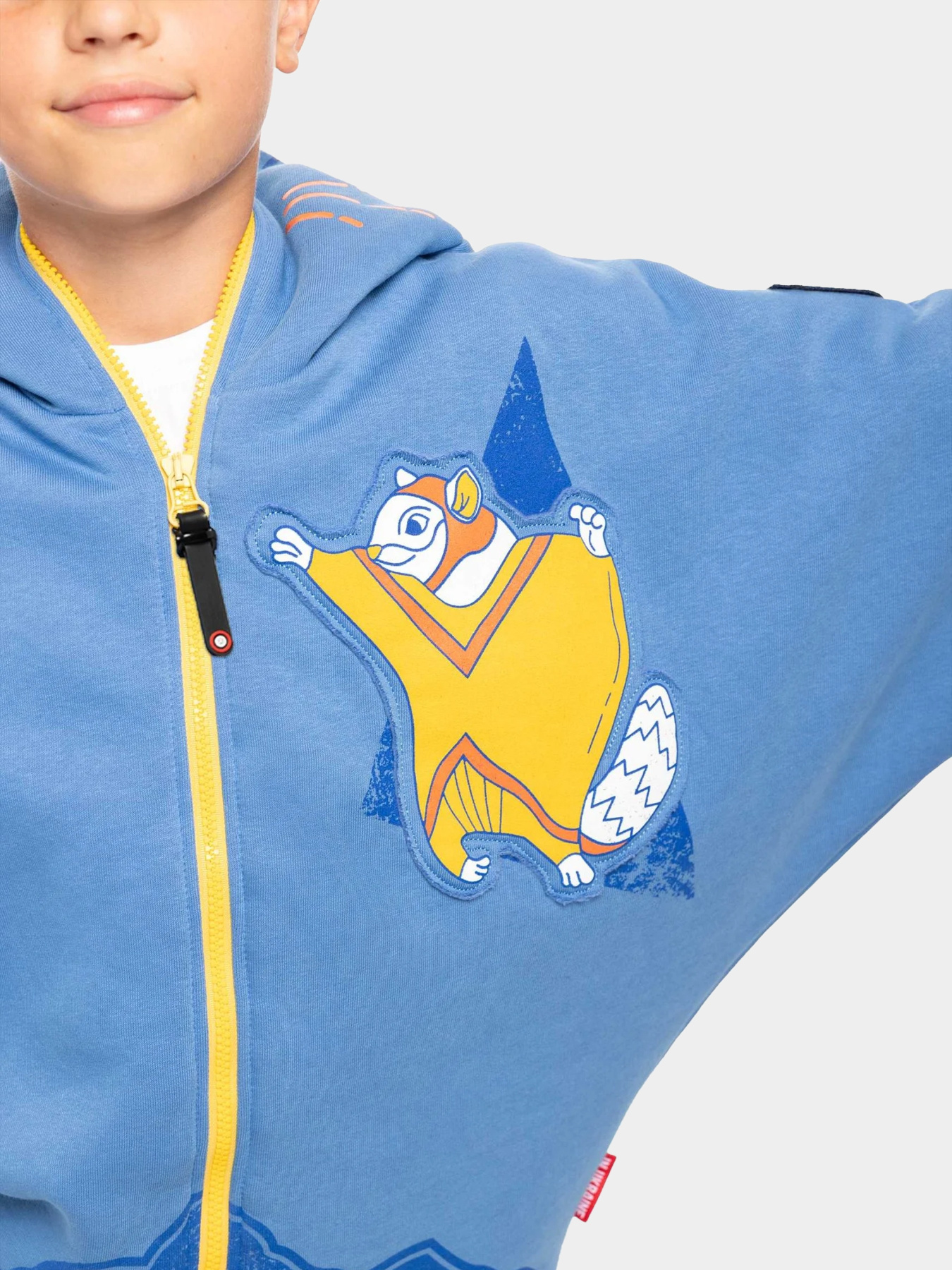 Кофты и свитера Авіація Галичини модель 000005641-1 Фото