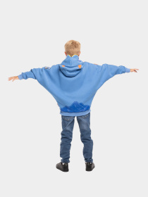 Кофты и свитера Авіація Галичини модель 000005641-1 Фото