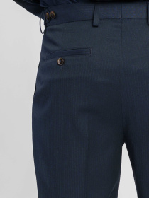 Класичні штани Arber модель M31.03.09.511 Фото