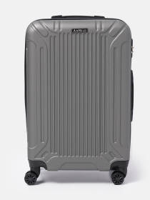 Валіза Ricco Grande модель T1Castle1gray-L Фото
