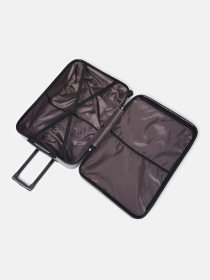 Валіза Ricco Grande модель T1Castle1silver-XL Фото