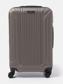 Валіза Ricco Grande модель T1Castle1brown-L Фото