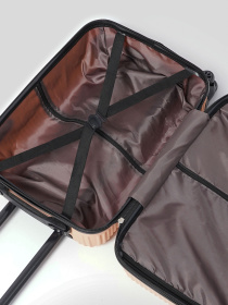 Валіза Ricco Grande модель T1Bowtie21pudra-M Фото