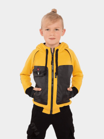 Кофты и свитера Авіація Галичини модель 000004701-1 Фото