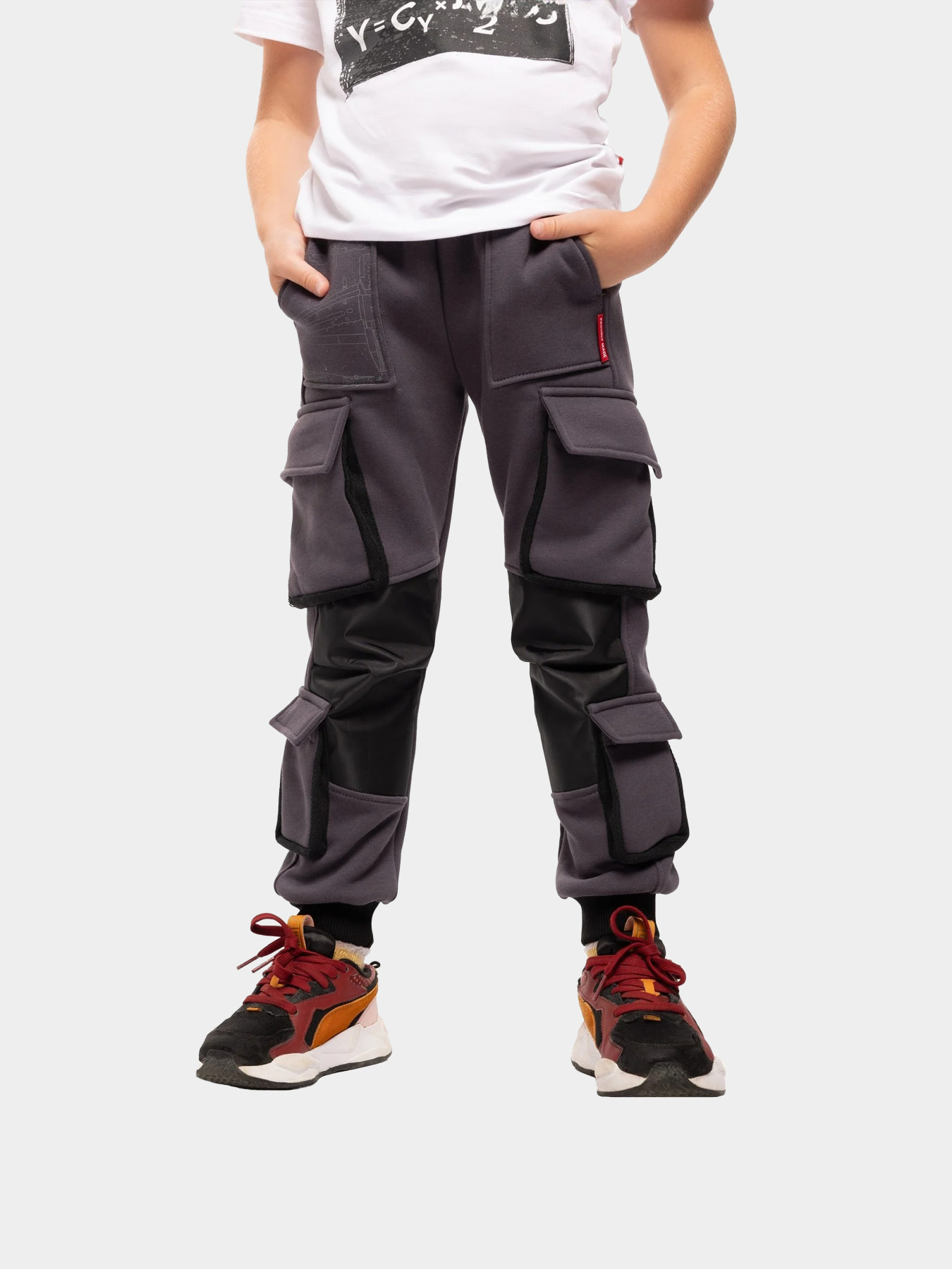 Карго Авіація Галичини модель 00-004161-1 Фото