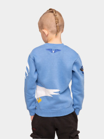 Світшот Авіація Галичини модель 000006408-1 Світшот Авіація Галичини модель 000006408-1 Фото