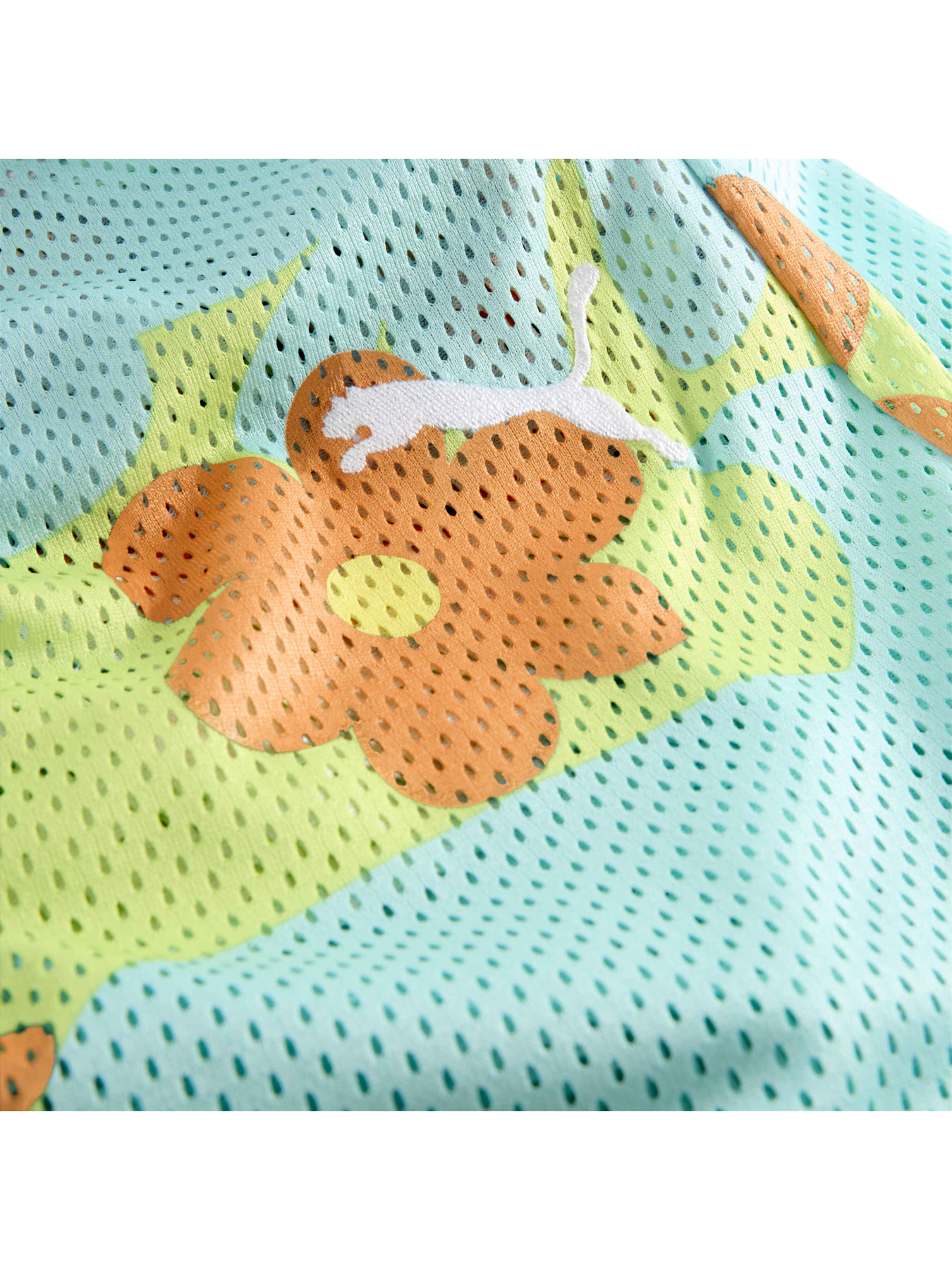 Шорты спортивные PUMA Hoops x Scooby Doo Short модель 630377 Фото