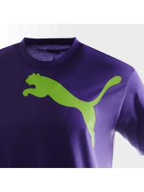 Футболка PUMA Navi Tee модель 629191 Фото