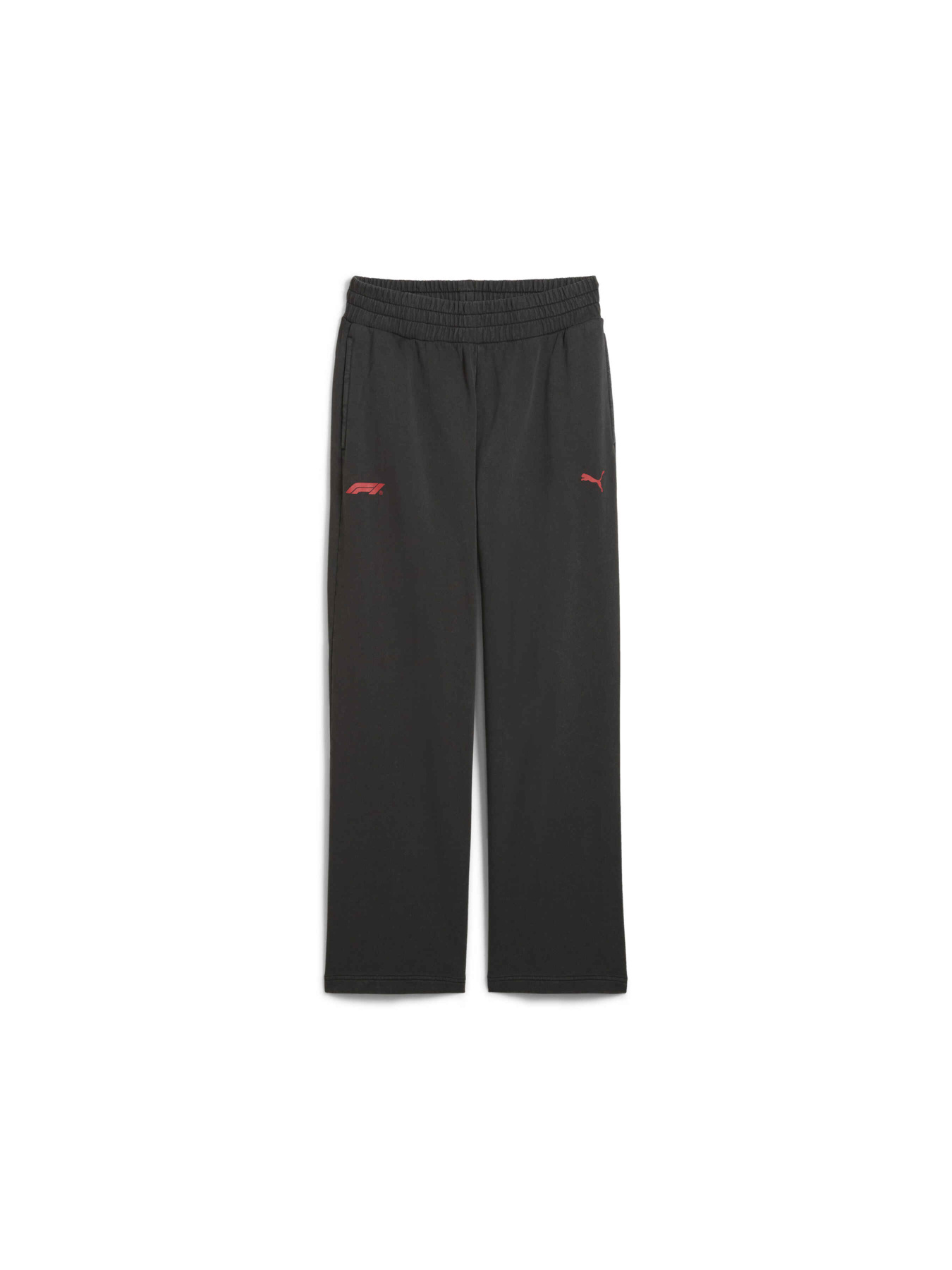 Спортивні штани PUMA F1 Sweatpants модель 631572 Фото