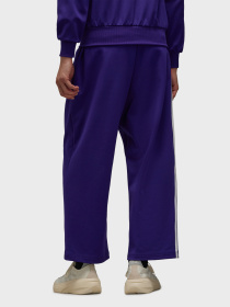 Повсякденні штани Adidas модель IX0399 Фото