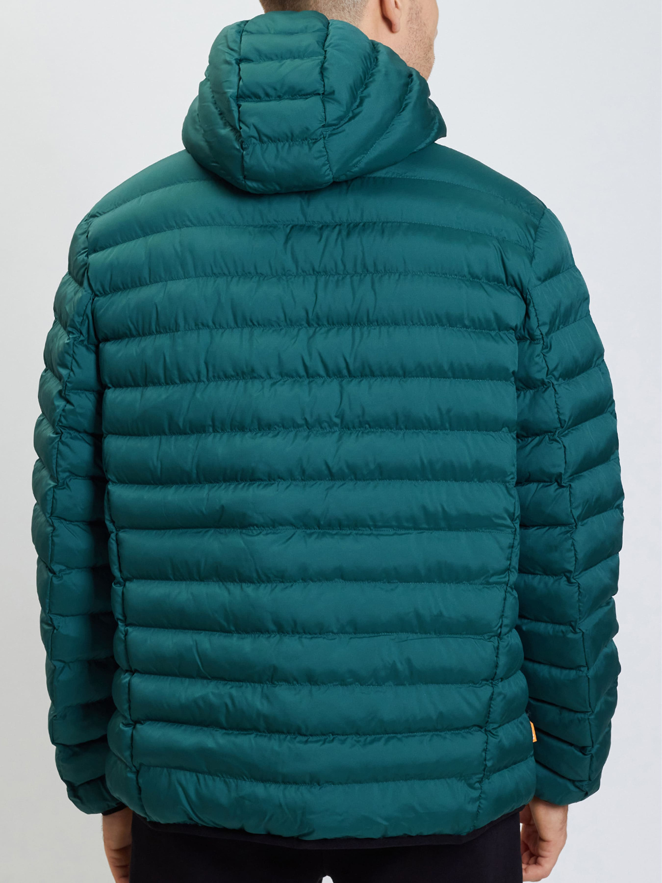 Демісезонна куртка Suns Boards модель GBS53004U Фото