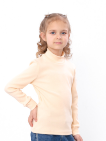 Водолазка Носи своє модель 6068-019-1-vanlx Фото