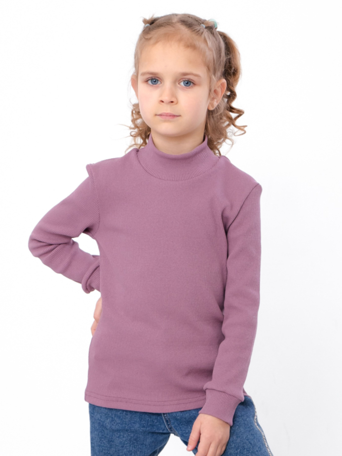 Водолазка Носи своє модель 6068-019-1-popelqstij-buzok Фото