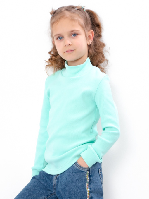 Водолазка Носи своє модель 6068-019-1-nzhna-m-qta Фото