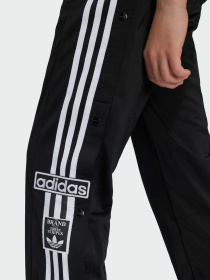 Повседневные штаны Adidas Adicolor модель IY9773 Повседневные штаны Adidas Adicolor модель IY9773 Фото