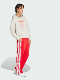 Худи Adidas Graphics модель JD0670 Фото