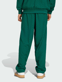 Повсякденні штани Adidas Graphics модель JD0699 Фото