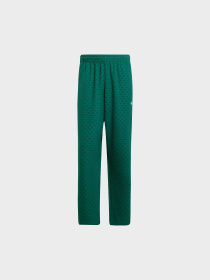 Повсякденні штани Adidas Graphics модель JD0699 Фото