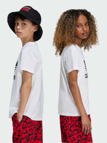 Футболка Adidas Adicolor модель JE0516 Фото