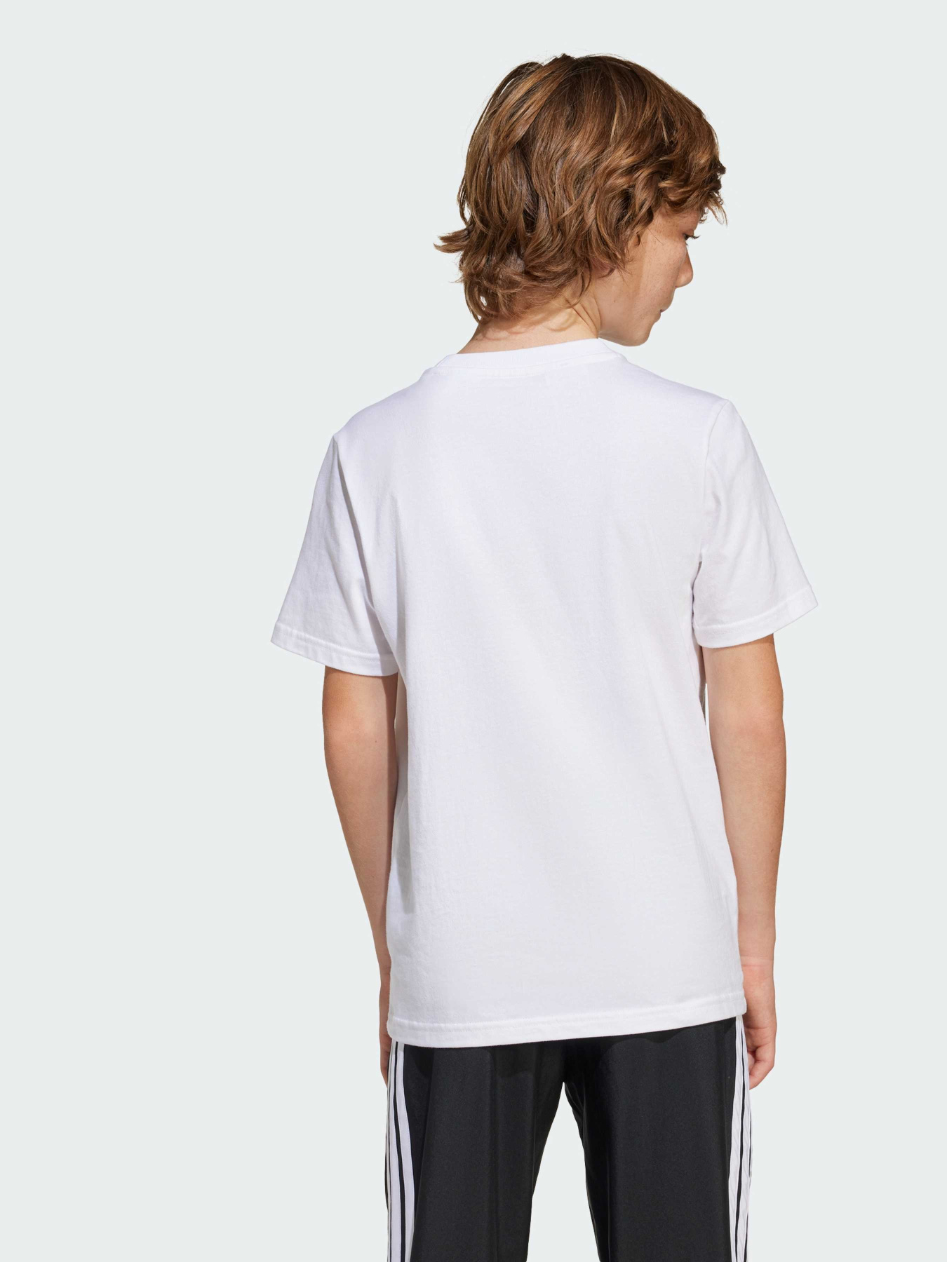 Спортивная футболка Adidas модель JJ1412 Фото