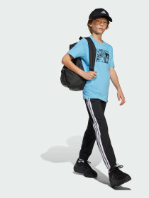 Спортивная футболка Adidas модель JJ1413 Фото