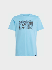 Спортивная футболка Adidas модель JJ1413 Фото