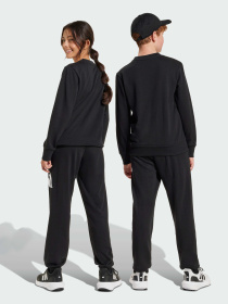 Спортивный костюм Adidas модель JD2102 Спортивный костюм Adidas модель JD2102 Фото