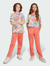 Брюки повседневные Adidas модель JC6680 Фото