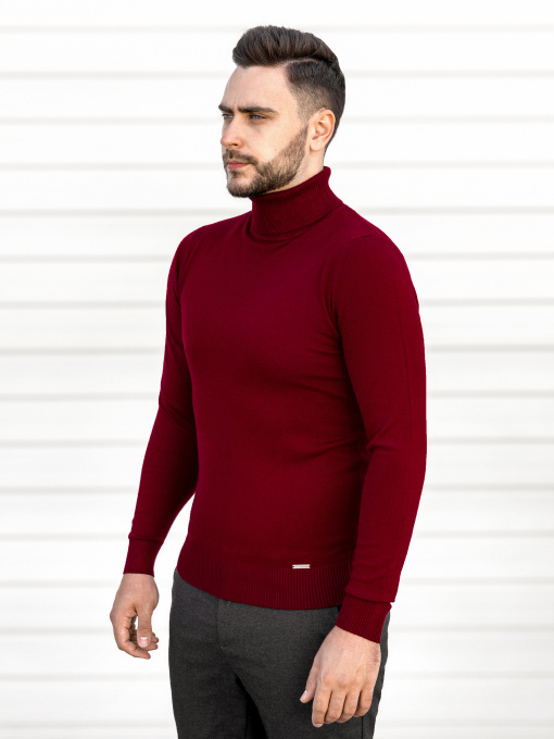 Водолазка Sun's House модель RG-39-golf-bordovij Фото