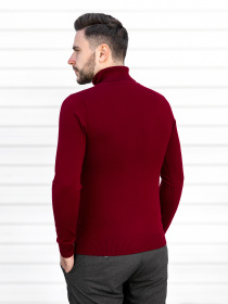 Водолазка Sun's House модель RG-39-golf-bordovij Фото