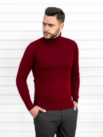 Водолазка Sun's House модель RG-39-golf-bordovij Фото