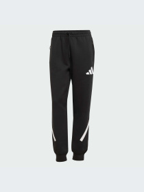 Брюки Adidas ZNE модель JC9309-KZ Фото