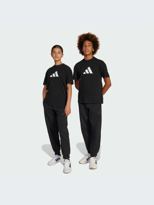 Повседневные штаны Adidas Icons модель JC7566-KZ Фото