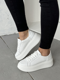 Кеды низкие INNOE модель 777526-4 Фото