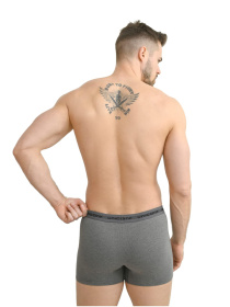 Набор трусов Uniconf модель UBB08RSETAN Фото