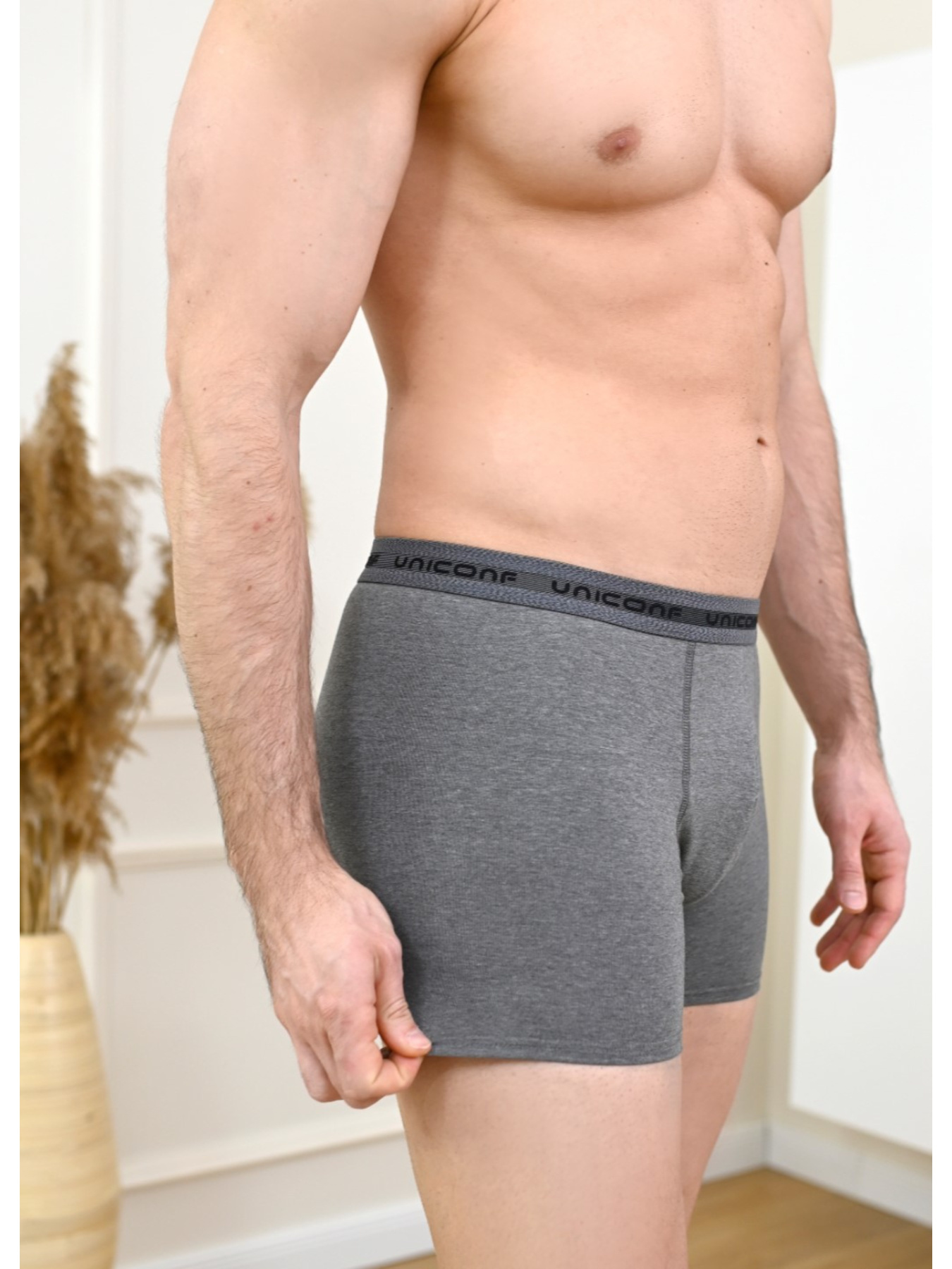 Труси Uniconf модель UBB08AN Фото