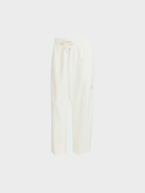 Штани повсякденні Adidas модель JJ4613 Фото