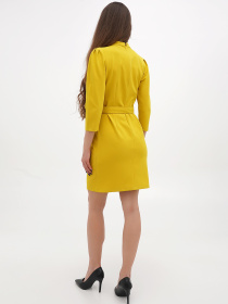 Платье мини Sassofono модель A271-CL-3955 Фото