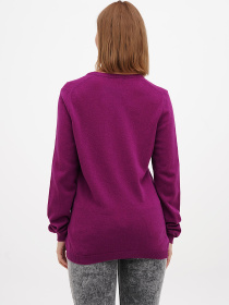 Джемпер Sassofono модель A271-SF-1259_фиолетовый Фото