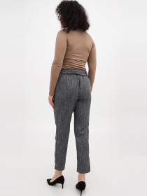 Классические штаны Sassofono модель A271-SF-3369 Классические штаны Sassofono модель A271-SF-3369 Фото