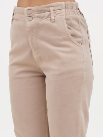 Брюки повседневные Sassofono модель A271-CL-4141 Фото