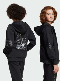 Кофта Adidas x Disney модель JF3634 Фото