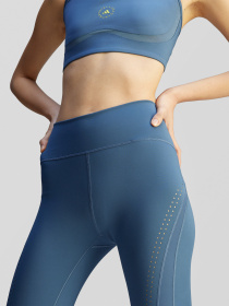 Спортивные леггинсы Adidas модель JJ0128 Фото